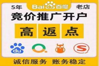 案例分析：SEM竞价代运营策略优化